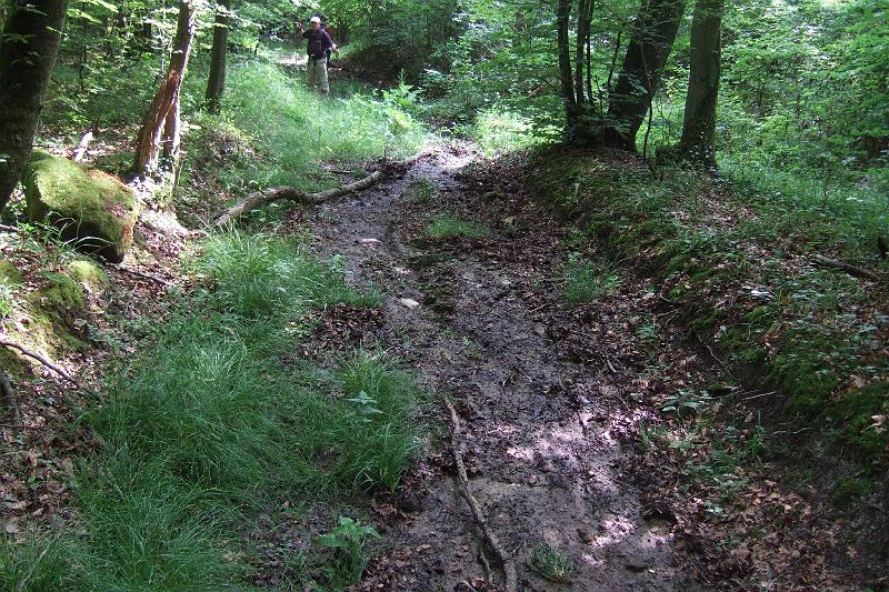 3-5-02 Bois des Trois Freres.JPG - ... über schlammige Wege hinauf in den "Bois des Trois Frères" - es hat nachts wieder geregnet